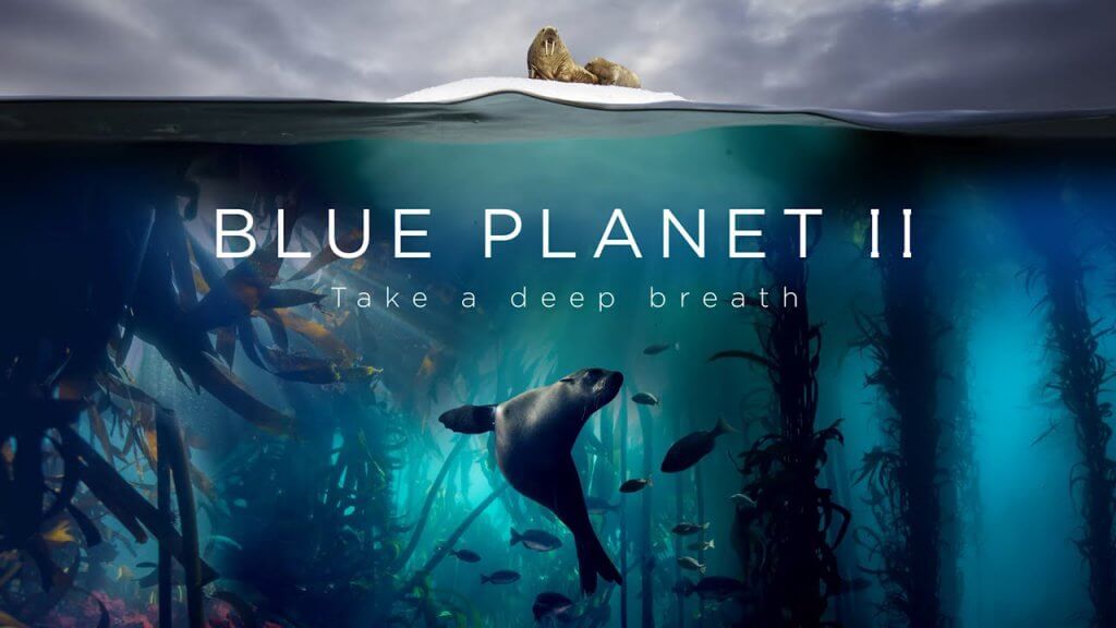 watch Blue planet anywhere